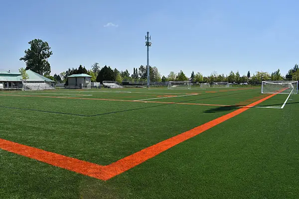 Fence Lighting Ideas