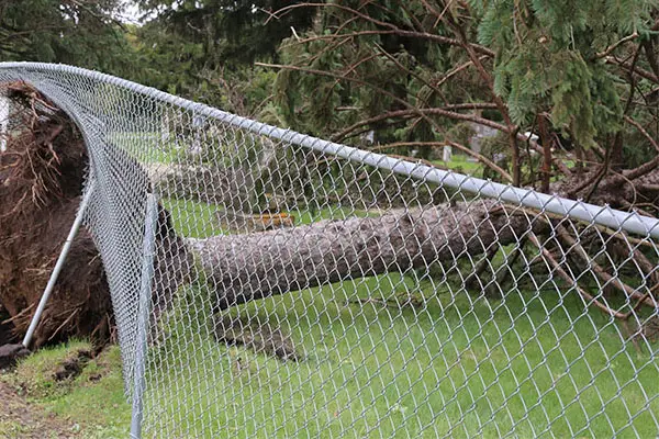 sw fencing florida
