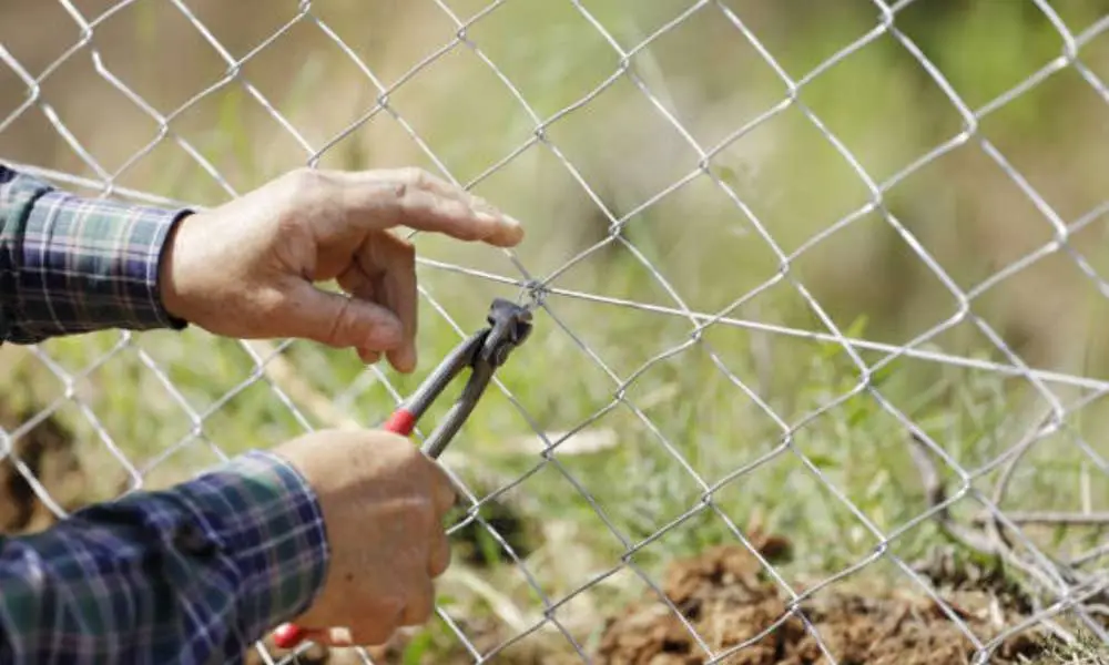 Repair Chain Link Fence